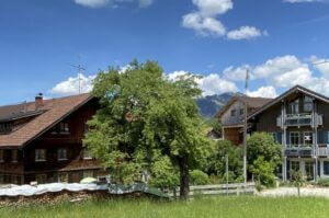 Außenansicht-Allgäuer-Bergbauernhof-Ferienhof-stiefel-Urlaub-ferien-auf-dem-bauernhof-mit-kindern-allgäu-bayern-kind-familie-ferienwohnung-pferde-sonthofen-kinderbauernhöfe