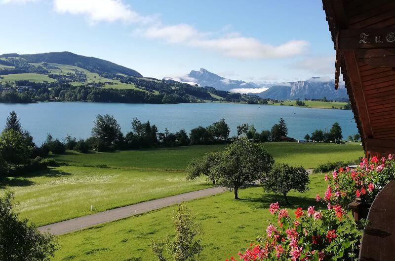 Seeblick-urlaub-mit-kindern-auf-dem-bauernhof-am-see-ferienhof-mit-seezugang-serner-irrsee-salzkammergut-österreich-ferienwohnung-direkt-see