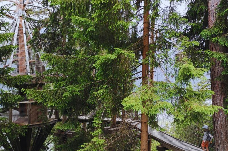 Der Baumhausweg im Wandergebiet Schlick 2000 ist eine tolle Familienwanderung im Stubaital.