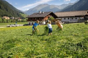 Heuernte-Urlaub-auf-Bauernhof-Suedtirol-Ferienwohnung-mit-Kind-Baby-Familie-nachhaltig-Dolomiten-familienfreundlich-gsieser-tal-aussermahrhof