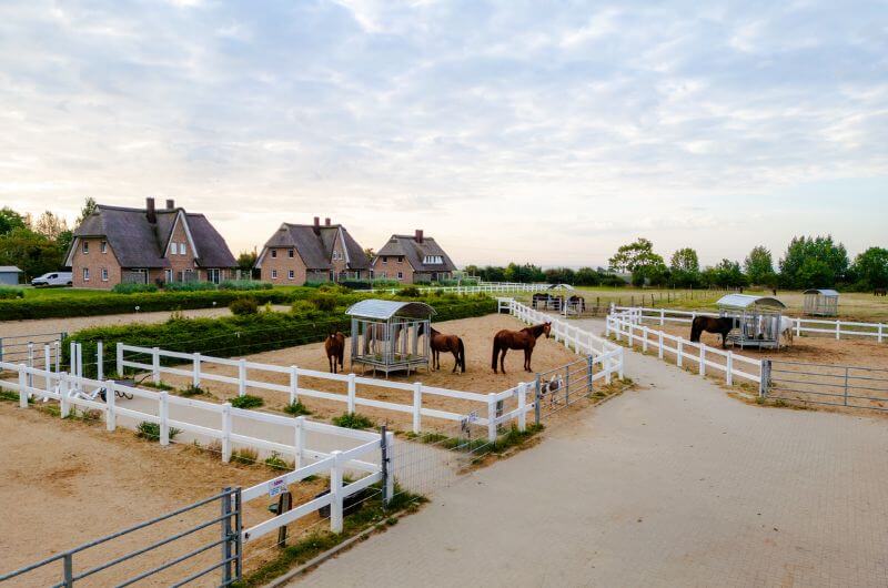 Ponyhof-Ferienwohnung-Kinder-Bauernhof-Ostsee-Fehmarn-Ferienhof-Paulsen-Strand-Reiterhof-Urlaub-mit-Kind-Deutschland