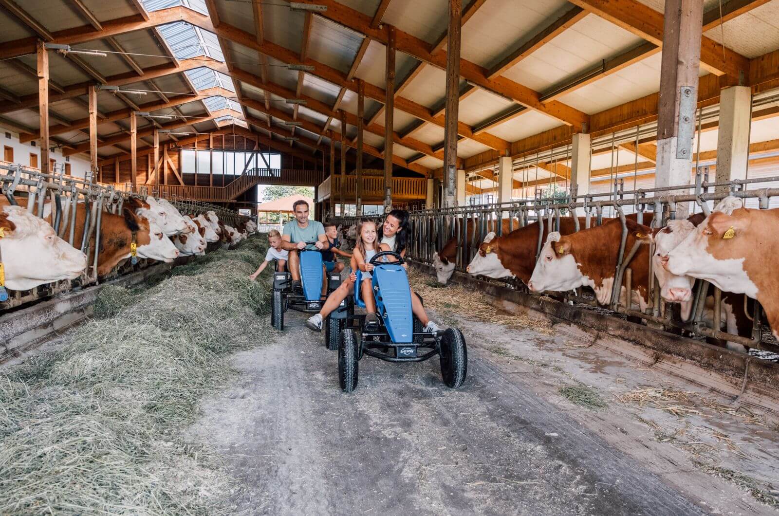 Kuhstall-Urlaub-auf-dem-Bauernhof-Chiemgau-Ferienwohnung-Chalet-Pool-Hoftiere-Huberhof-Chiemsee-Kinderbauernhof-nachhaltig