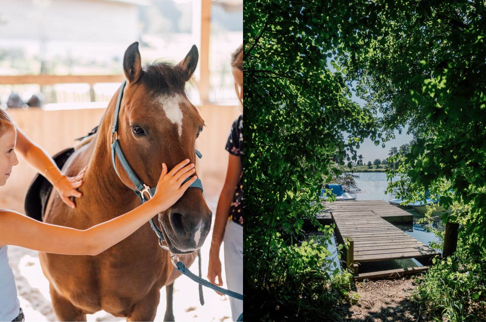 Ponyreiten-Urlaub-auf-dem-Bauernhof-Chiemgau-Ferienwohnung-Chalet-Pool-Hoftiere-Huberhof-Chiemsee-Kinderbauernhof-nachhaltig